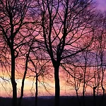 Roder Am Eifelsteig * 蒙绍
