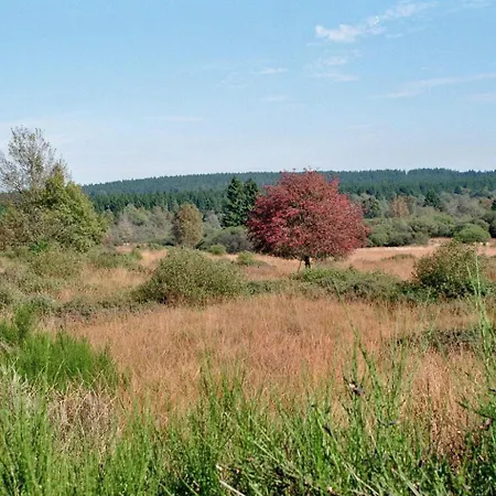 Vakantiehuis Roder Am Eifelsteig *