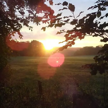 Roder Am Eifelsteig Vakantiehuis
