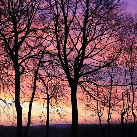 Roder Am Eifelsteig * Monschau