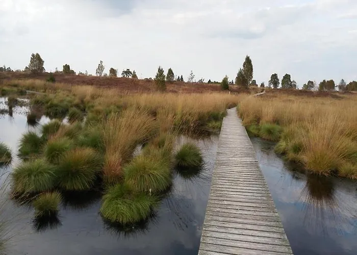 Roder Am Eifelsteig Hébergement de vacances