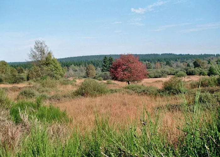 بيت للعطل Roder Am Eifelsteig *