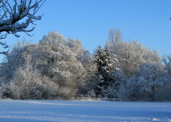 Roder Am Eifelsteig مونشاو